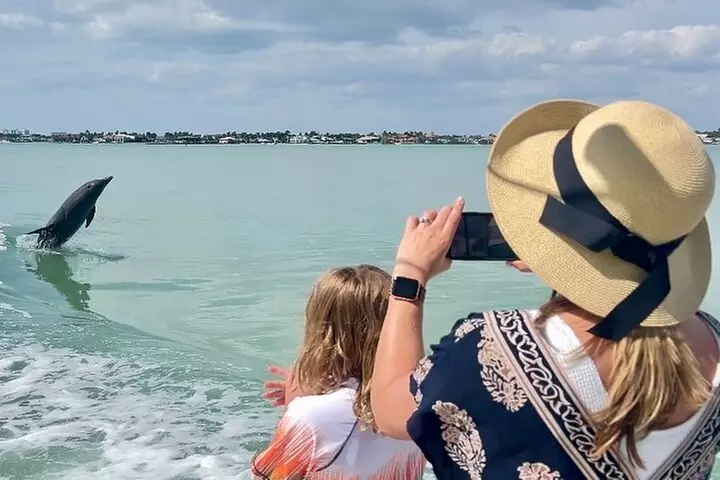 Best of Marco Island Dolphin Tour