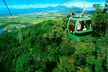 3-Day Best of Cairns Combo: The Daintree Rainforest, Great Barrier Reef, and Kuranda - Image 3