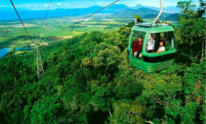 Image 3: 3-Day Best of Cairns Combo: The Daintree Rainforest, Great Barrier ...