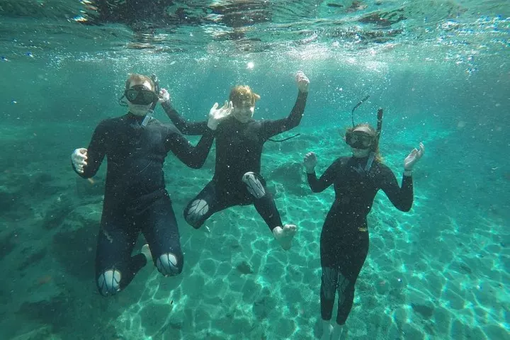 Guided Small Group Manatee Snorkeling Tour with In-Water Photographer