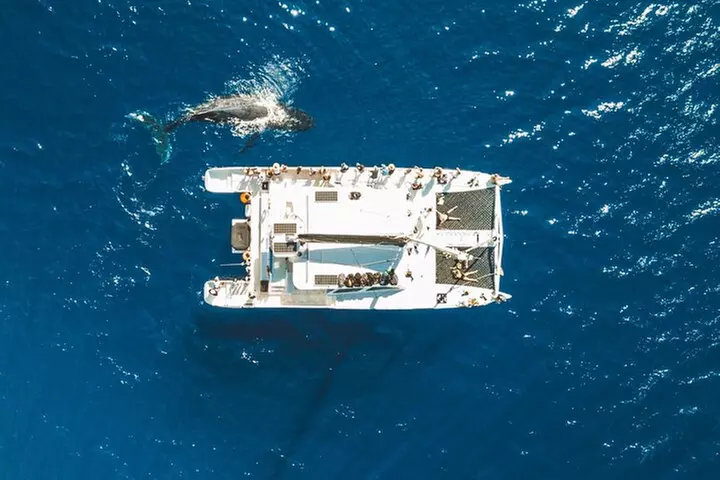 West Maui Snorkel & Sail from Ma'alaea Harbor - Primary Image
