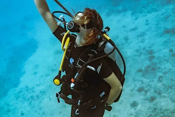 Mesmerizing Private SCUBA Diving Charter in Paradise from Waikiki
