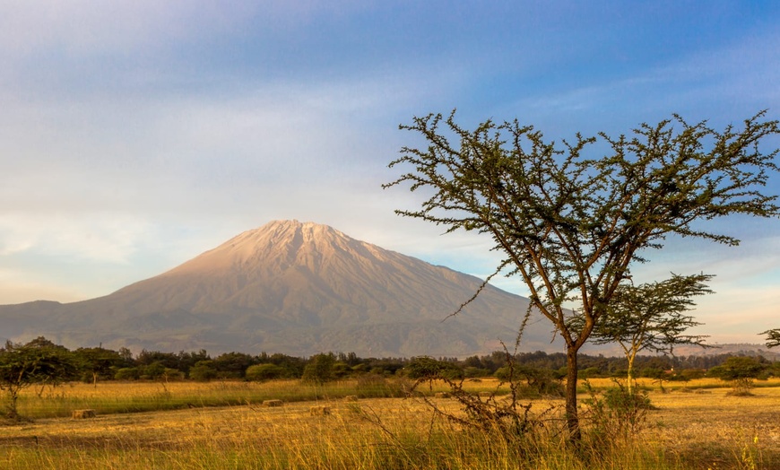 Image 12: ✈ TANZANIA | From Tanzania to Zanzibar - Explore Tanzania on safari...