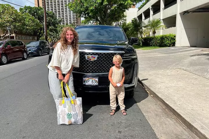 One-Way VIP Transfer: Honolulu Airport, Waikiki, Cruise Port