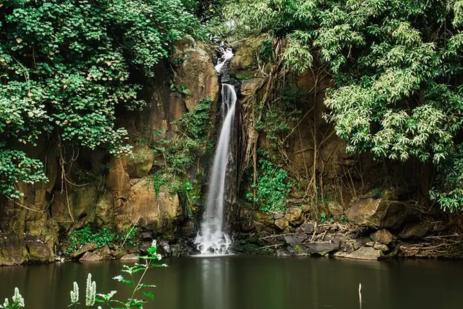 Waterfall (Wailele) Tour - Primary Image