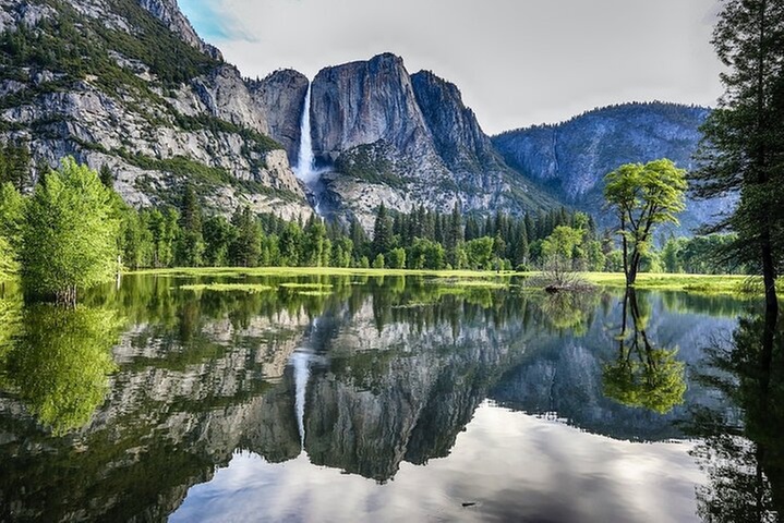Yosemite and Giant Sequoias Day Tour