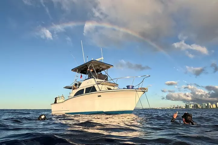 4 Hour Guided Scuba Diving Adventures in Waikiki