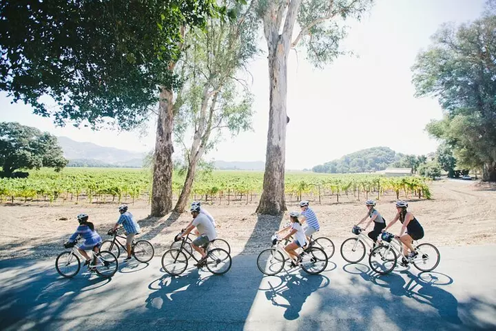 Half Day Guided E-Bike Tour in Napa Valley Winery with Picnic - Second Medium