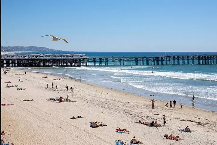 Semi-Private Surf Lesson