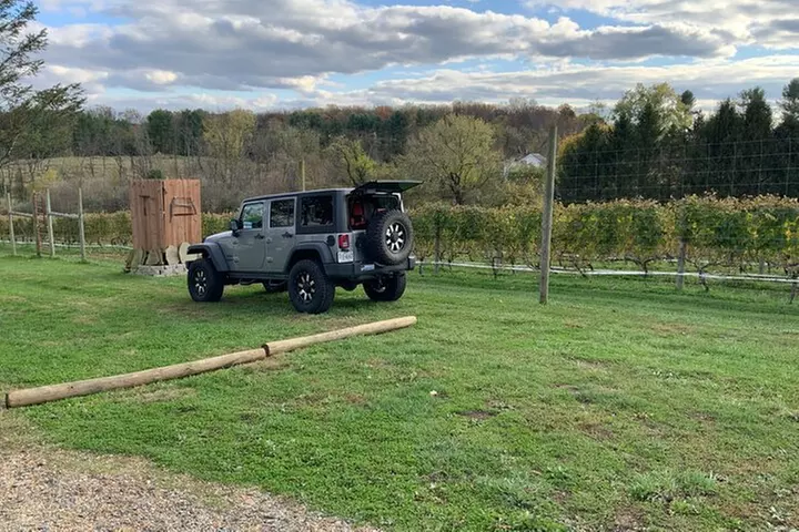 Private Loudoun County Wine Tour from DC with Stops at 3 Wineries