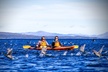 Early Morning Picnic Paddle (Lunch included) - Second Medium