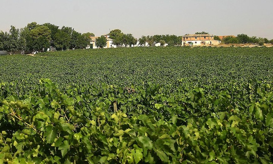 Image 15: Tour de la Ciudad de Toledo y Visita a Bodega con Cata de Vinos des...