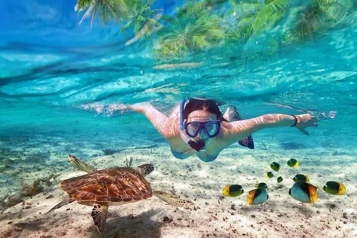 Guided Visit to Puerto Morelos with Snorkeling Included - Primary Image