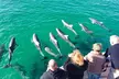 Kangaroo Island 75-Minute Coastal Safari - Image 2