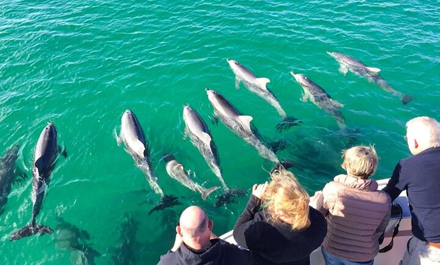 Image 1: Kangaroo Island 75-Minute Coastal Safari