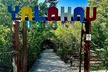 Private VIP tour to Cenote Yalahau in Holbox Island - Second Medium