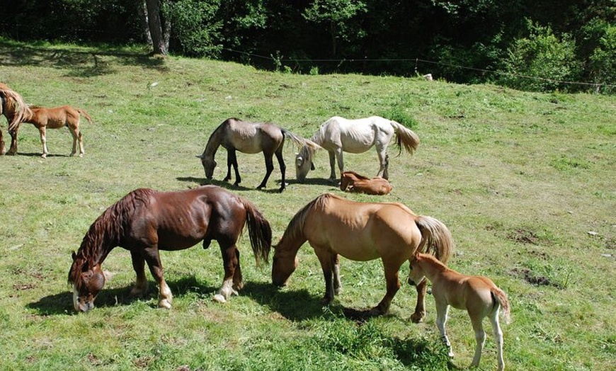 Image 8: 8 días de aventura por los Pirineos