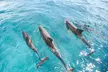 Waikiki's Premier Small Group Sunset Yacht + Tasting - Second Medium