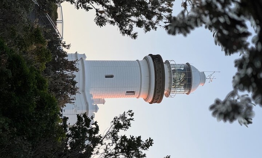 Image 15: Byron Bay and Currumbin Wildlife Sanctuary Day Tour