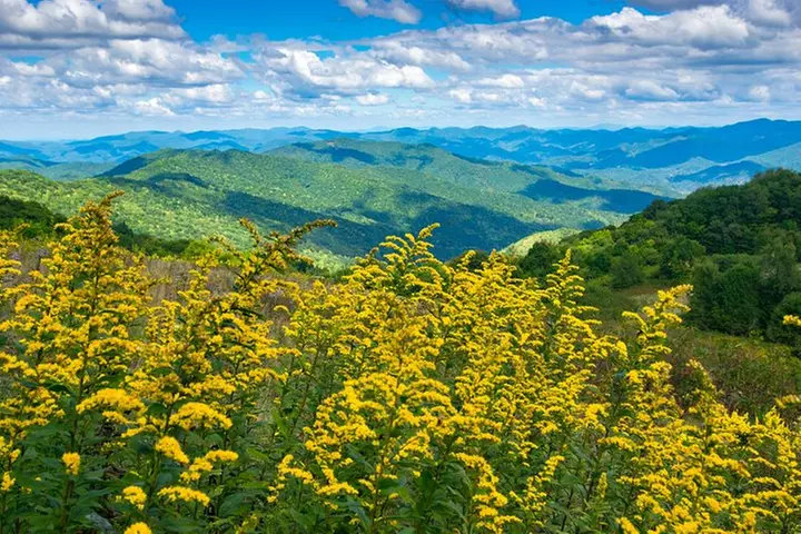 Half-Day Hike with Long Range Views from Asheville - Primary Image