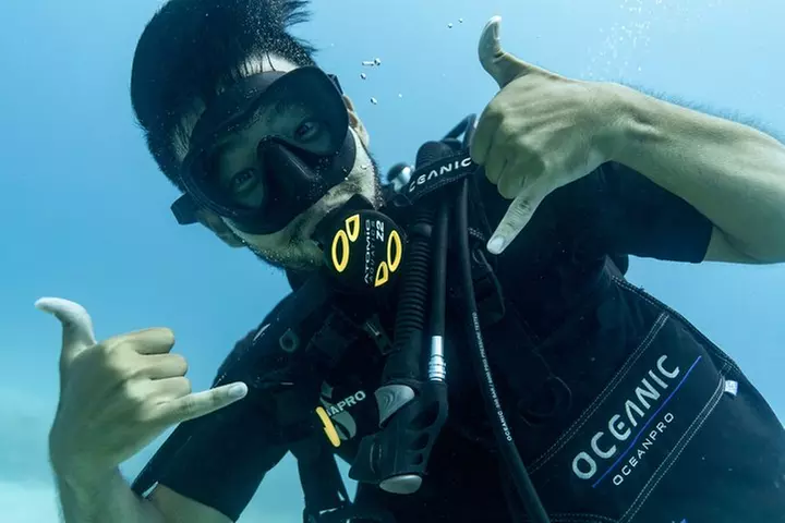 Incredibly Fun Coral Reef Giant Sea Turtles 4hour Boat Scuba Tour