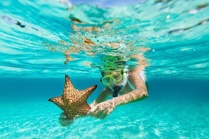 All Day Snorkel Package with Wetsuit Rental