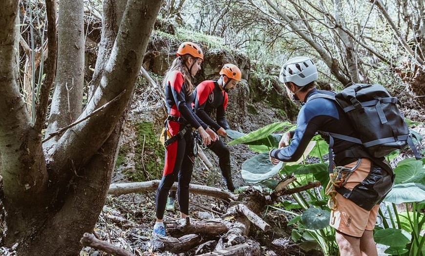 Image 7: Barranquismo en el Bosque de Laurisilva ツ