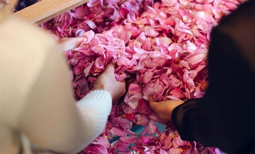 Image 5: Jurlique Farm Private Immersion Tour