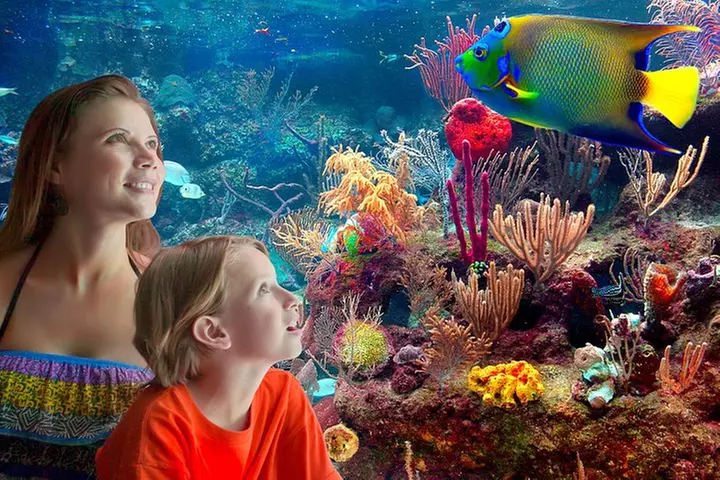 Xcaret Park Entry Tickets with Cultural Night Show Included