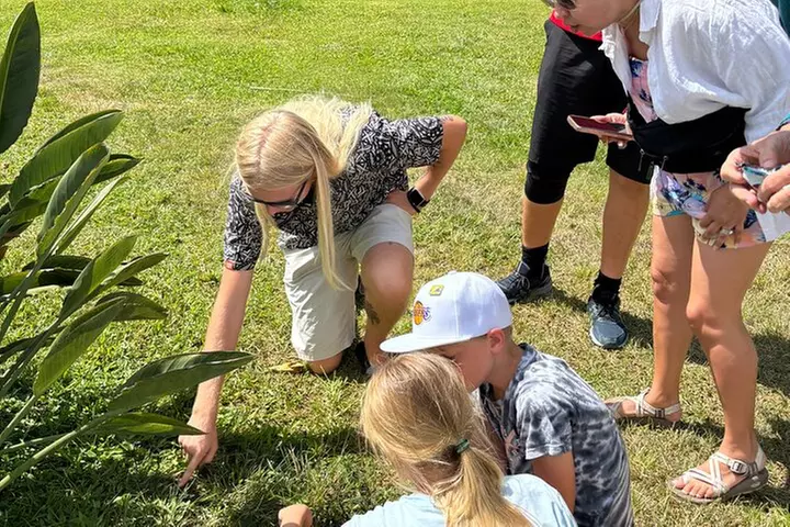 Oahu Circle Island: Snorkel with Turtles & Explore Turtle Beach