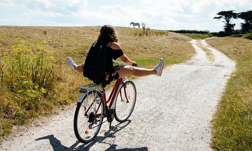 Image 1: Excursion en Vélo électrique en Camargue