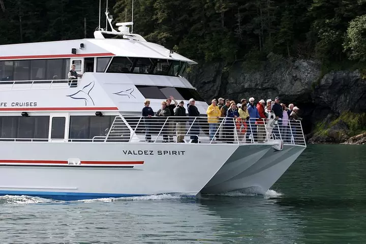 Columbia Glacier Cruise from Valdez