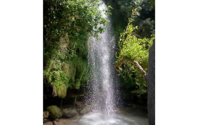 Image 4: Recorrido en kayak para toda la familia con cascadas y caminata