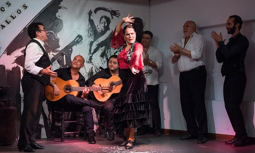 Image 11: Entrada para el espectáculo de flamenco en Los Gallos