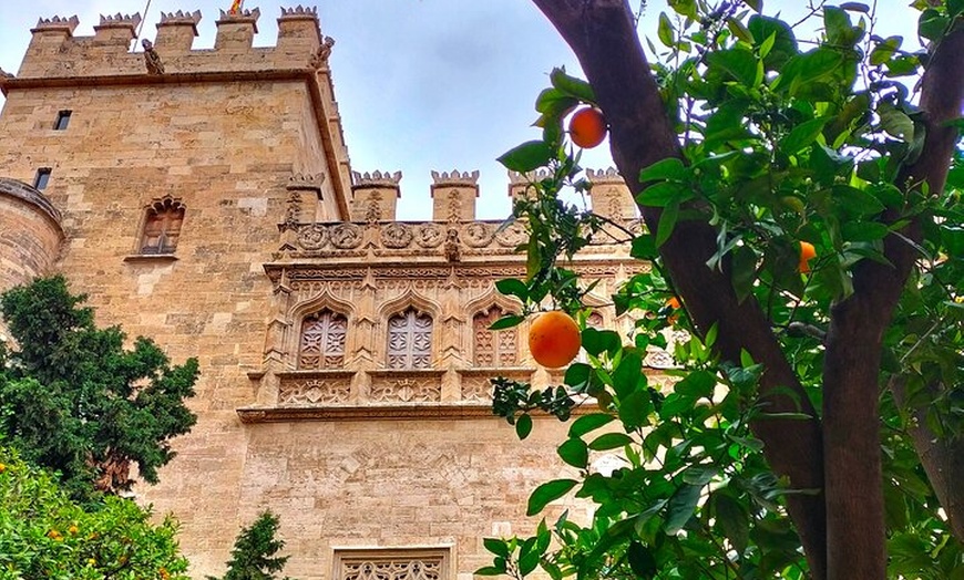 Image 8: Visita guiada de Valencia con entrada a los monumentos