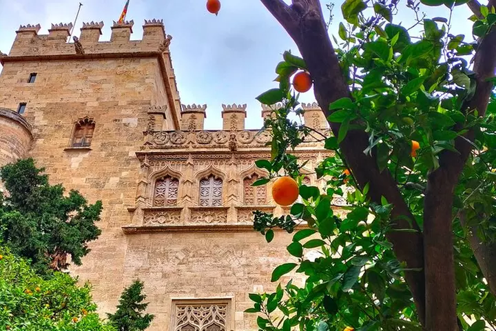 Visita guiada de Valencia con entrada a los monumentos