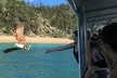 Magnetic Island Discovery Tour with Snorkeling & Paddle Boarding - Image 7