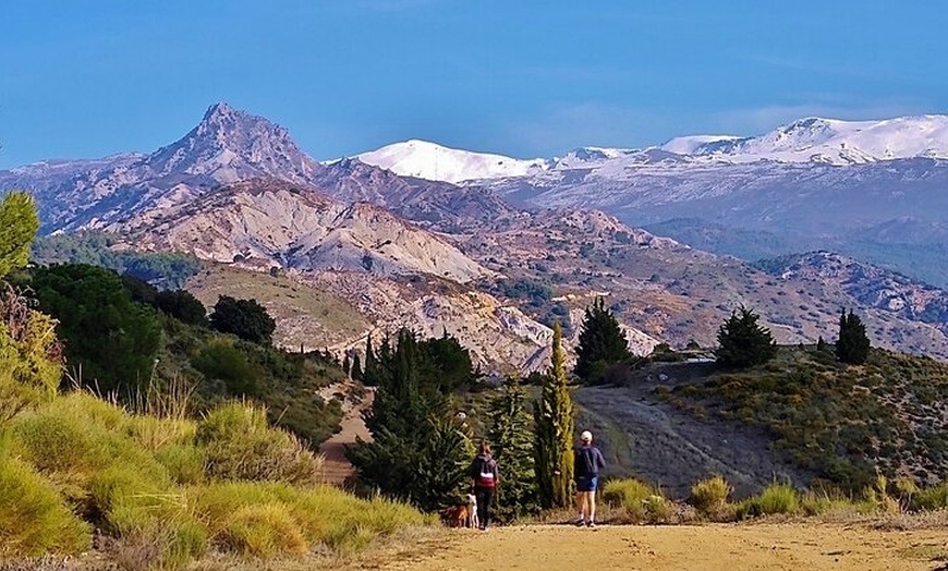 Image 5: NUEVO:Sunset Hike & Summit Sierra Nevada - Tour privado con cachorro