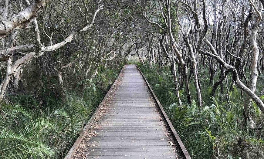 Image 9: Sunshine Coast Seaside Explorer Private Tour with Lunch