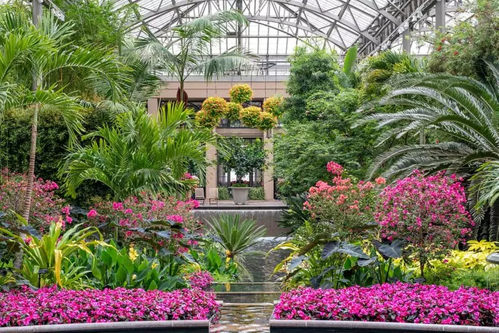 Longwood Gardens from Philadelphia Spring Flowers Pop Up Tour - Primary Image