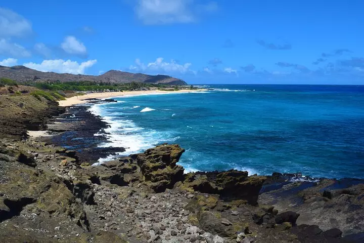 Waikiki Trolley Blue Line Coastline & Local Grindz Hop-on Hop-off