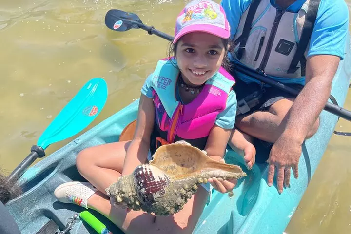Wildlife Refuge Manatee, Dolphin & Mangrove Kayak or Paddleboarding...