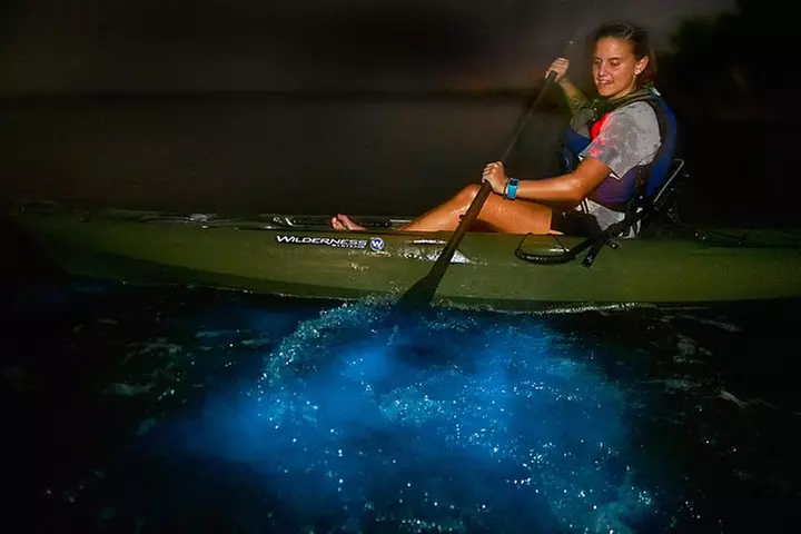 Bioluminescence Kayak Tour - Primary Image