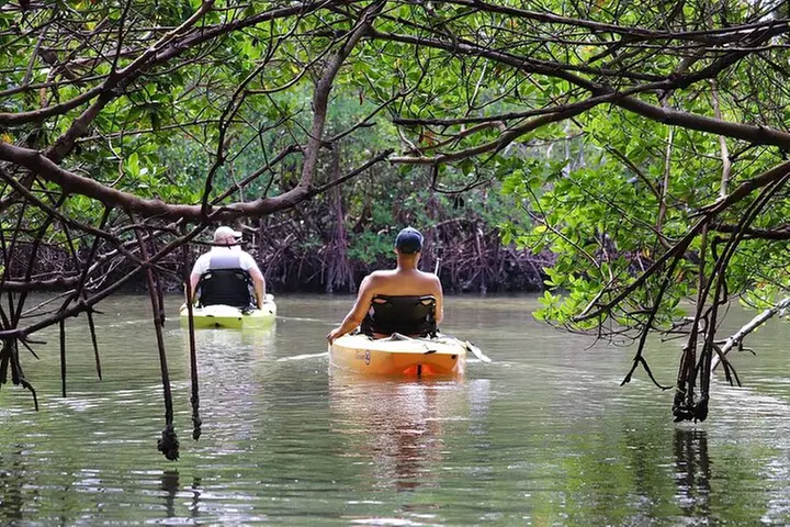 Deluxe Kayak Tour Marco Island and Naples, Florida