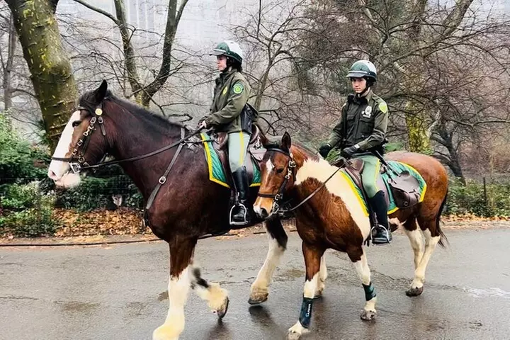 Central Park Pedicab Tour ( starting - Natural History Museum )