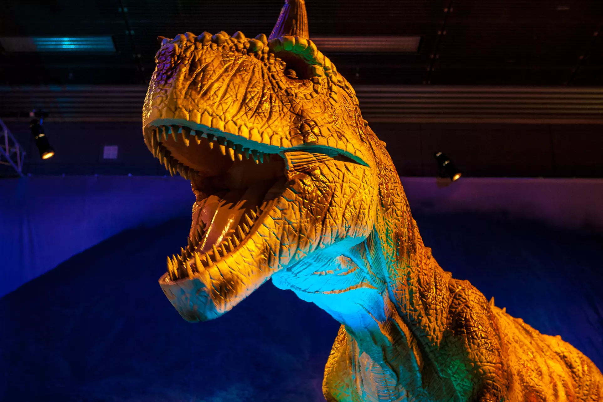 Dino Safari: A Walk Thru Adventure - Primary Image