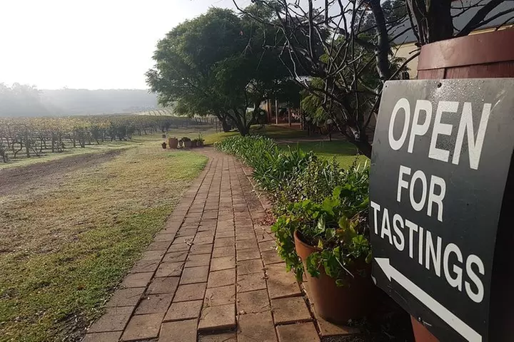 Tintilla Estate: Wine Tasting with a Meat and Cheese Platter