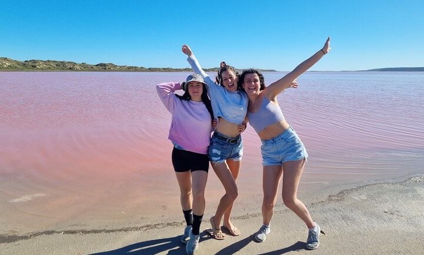 Image 2: Pink Lake Small-Group Buggy Tour