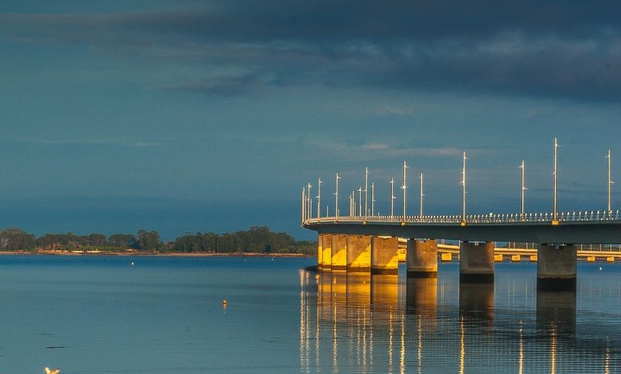 Image 9: Rías Baixas Tour privado con cata de vinos, comida, mejillones y re...