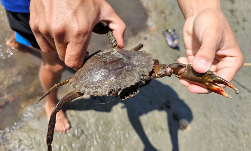 Image 2: Aboriginal Fishing & Beach Day Tour+ Daintree Crocodile Cruise